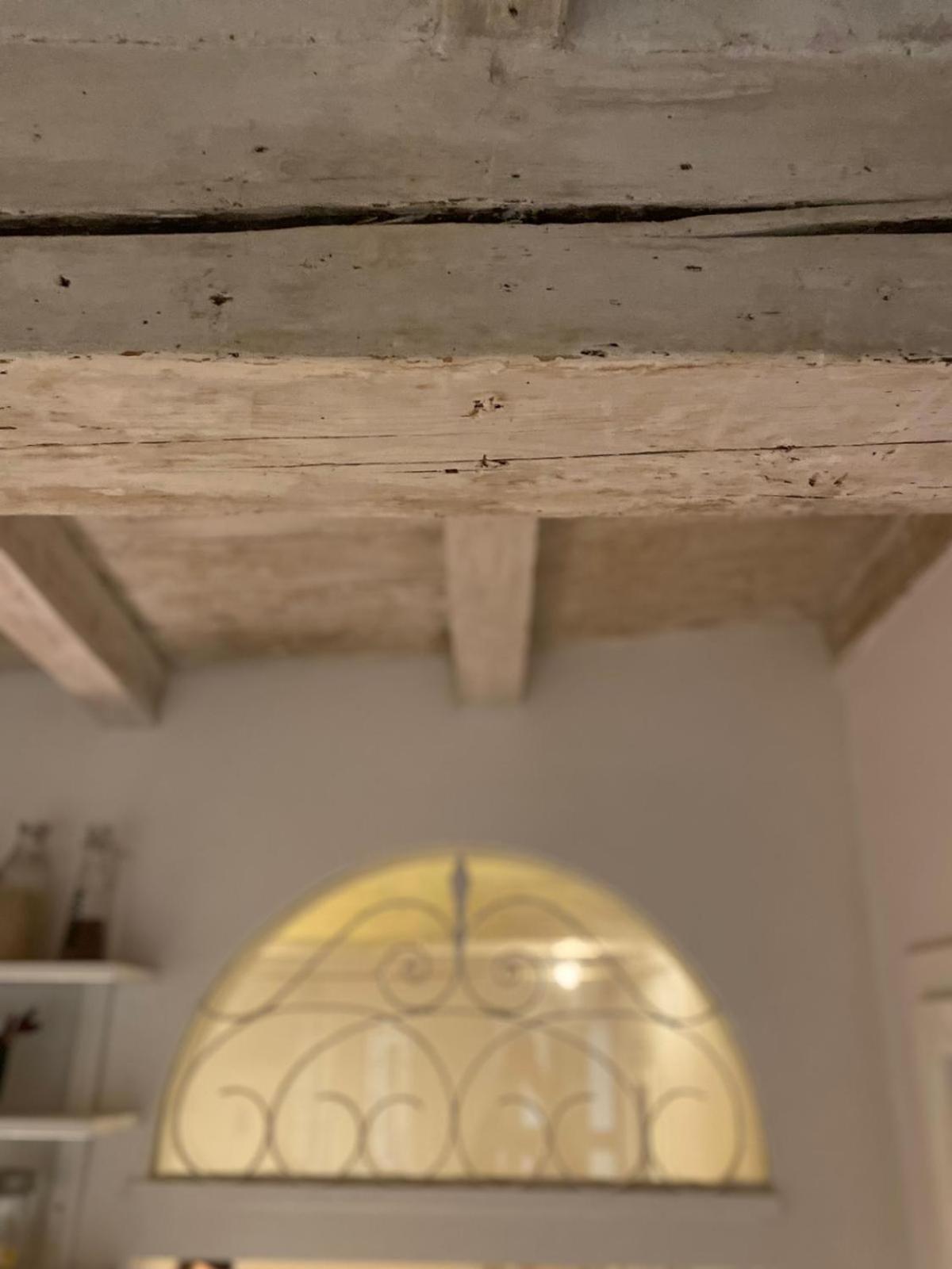 בולוניה Casina Centotrecento-Romantic & Quite Apartment- מראה חיצוני תמונה